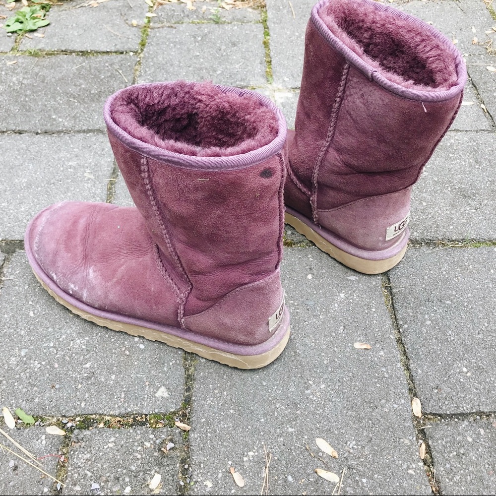Wine Colored Ugg Boots